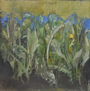 V 312 Fiori di campo